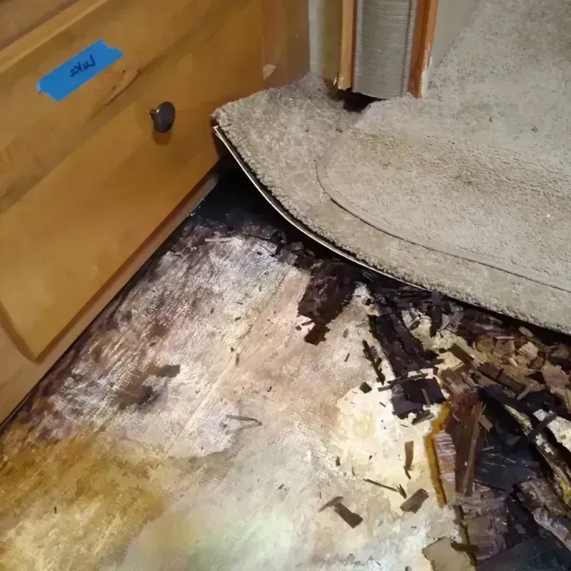 Wood Floor Water Damage in Benson, MN